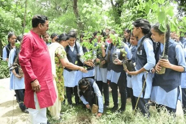 geetanjali public school rewa madhya pradesh tree plantation